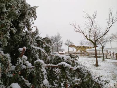 Fotografia /Galeria/2020/1/192436_118574/3_M1.jpg