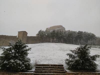 Fotografia /Galeria/2020/1/192436_118574/4_M1.jpg