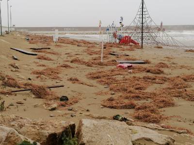 Fotografia /Galeria/2020/1/192536_118657/2_M1.jpg