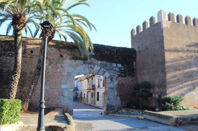 Fotografia /Galeria/2020/1/192541_118661/2_M1.jpg