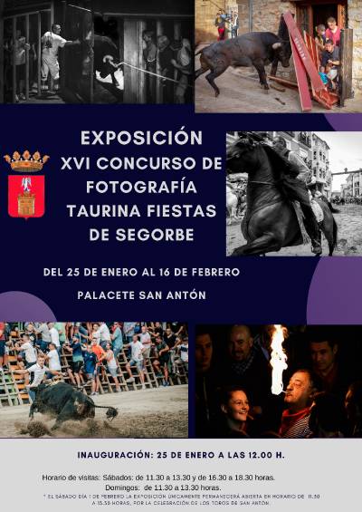 Fotografia /Galeria/2020/1/192572_118688/2_M1.jpg