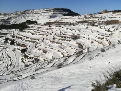 Fotografia /Galeria/2020/1/192574_118690/2_M1.jpg