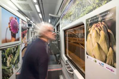 Fotografia /Galeria/2020/1/192627_118735/3_M1.jpg