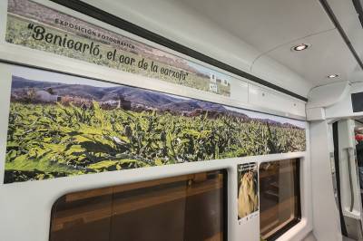 Fotografia /Galeria/2020/1/192627_118735/5_M1.jpg