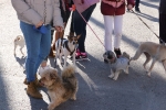 La Llosa celebra Sant Antoni