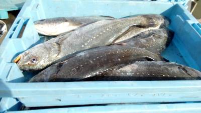 Fotografia /Galeria/2020/1/192749_118841/3_M1.jpg