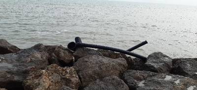 Fotografia /Galeria/2020/1/192749_118841/5_M1.jpg