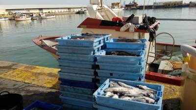 Fotografia /Galeria/2020/1/192749_118841/6_M1.jpg