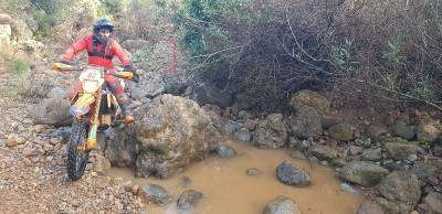 Fotografia /Galeria/2020/1/192774_118865/6_M1.jpg