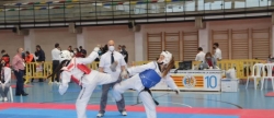 -xito-del-autonomico-y-el-open-internacional-ciudad-de-la-ceramica-de-taekwondo-organizado-por-el-c-d-granjo-en-alcora