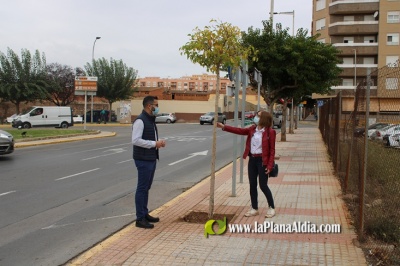 El Ayuntamiento de lAlcora planta nuevos rboles y retira tocones