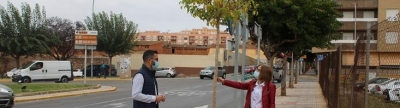L'Ajuntament de l'Alcora planta nous arbres i retira soques