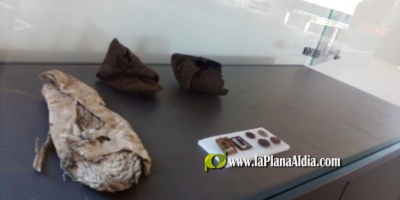 Fotografia /Galeria/2020/10/196533_122144/6_M1.jpg