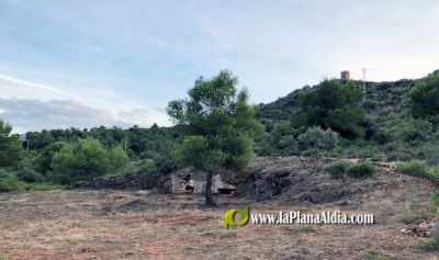 Fotografia /Galeria/2020/11/196696_122288/2_M1.jpg