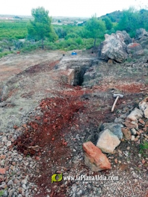 Fotografia /Galeria/2020/11/196696_122288/3_M1.jpg