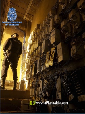 Fotografia /Galeria/2020/11/196701_122293/3_M1.jpg