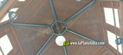 Fotografia /Galeria/2020/11/196722_122309/5_M1.jpg