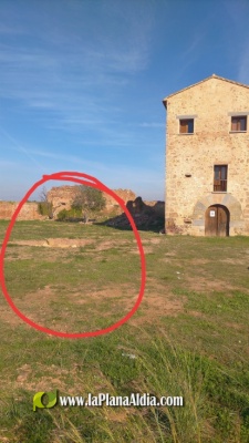 Fotografia /Galeria/2020/11/196772_122350/2_M1.jpg