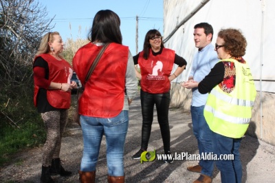 El Ayuntamiento de Castell colabora con los cuidados y tratamientos veterinarios de 226 felinos