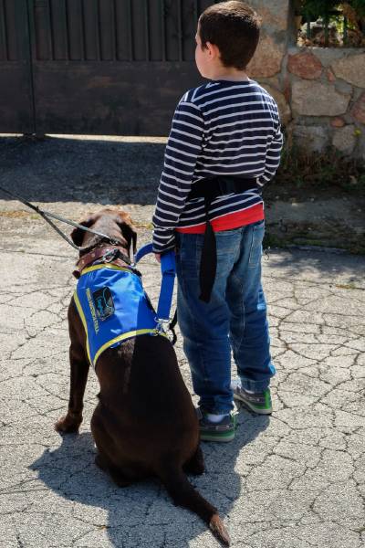 El C.C Salera pone en valor la labor de los perros de asistencia de DogPoint con los nios con autismo