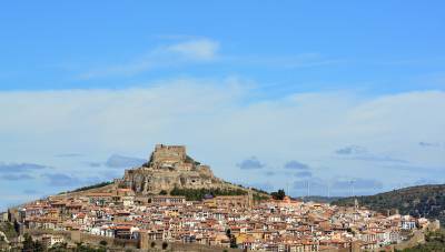 Comienza Morella negra como la trufa