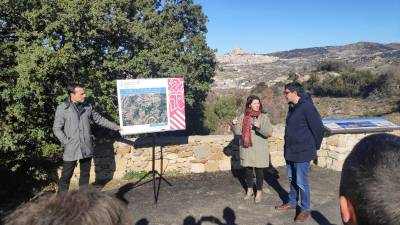 Fotografia /Galeria/2020/2/193559_119555/4_M1.jpg