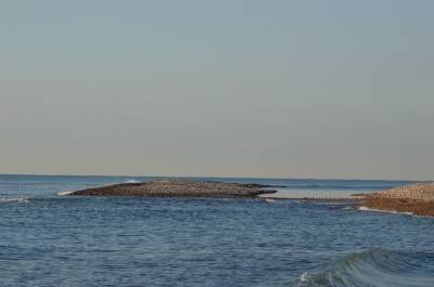 Fotografia /Galeria/2020/2/193569_119564/4_M1.jpg