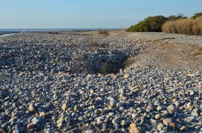 Fotografia /Galeria/2020/2/193569_119564/6_M1.jpg