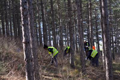 Fotografia /Galeria/2020/2/193589_119580/2_M1.jpg