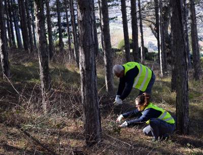Fotografia /Galeria/2020/2/193589_119580/3_M1.jpg