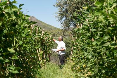 Fotografia /Galeria/2020/2/193715_119695/5_M1.jpg