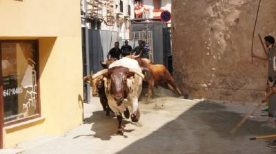 El Concurso de Ganaderías Ciudad de Segorbe comenzará los lunes de toros