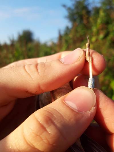 Fotografia /Galeria/2020/3/194027_119965/4_M1.jpg