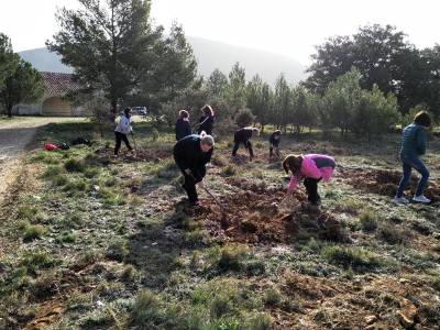 Albocsser celebra el Dia de l'Arbre