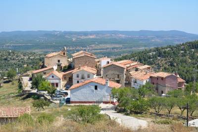 Sant Antoni a La Pobleta i les Jornades de la trufa marquen l’activitat del cap de setmana a Morella
