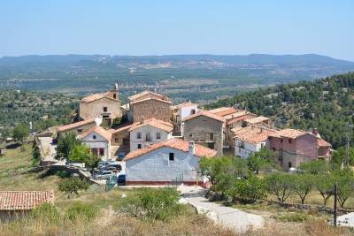 Sant Antoni a La Pobleta i les Jornades de la trufa marquen lactivitat del cap de setmana a Morella