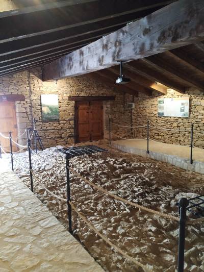 Fotografia /Galeria/2020/3/194285_120188/4_M1.jpg