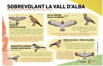 Fotografia /Galeria/2020/3/194353_120247/2_M1.jpg