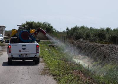 La Diputacin mejora el 'Plan Provincial Contra los Mosquitos' en el que en 2020 invertir 1 milln de euros