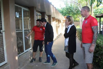 Castelló facilita l'adopció d'animals abandonats mitjançat la web municipal durant l'estat d'alarma
