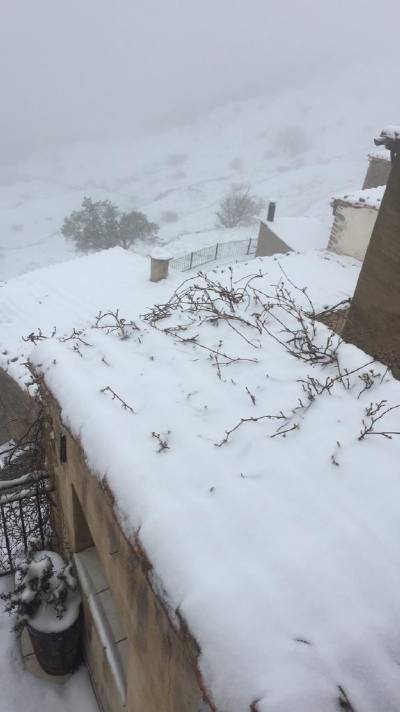 Fotografia /Galeria/2020/3/194896_120651/4_M1.jpg