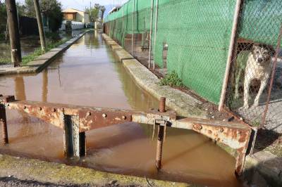 Fotografia /Galeria/2020/4/194919_120666/4_M1.jpg