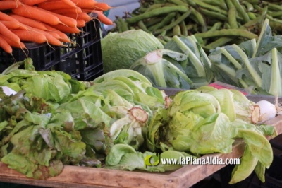 Fotografia /Galeria/2020/5/195329_121100/2_M1.jpg