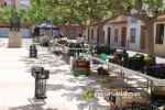 Nules reobri el Mercat Ambulants dels dimecres amb un dispositiu de seguretat i control sense precedents