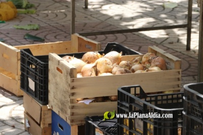 Fotografia /Galeria/2020/5/195343_121093/2_M1.jpg