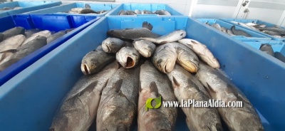 Conselleria destina 20.510 euros per a ajudar a la pesca de Borriana