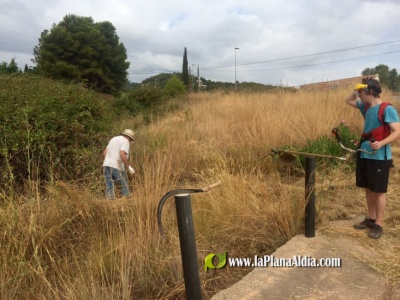 Betx contratar a 20 personas con la subvencin del paro agrcola