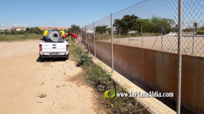 La Concejala de Sanidad refuerza el tratamiento contra los mosquitos con la llegada de las altas temperaturas 