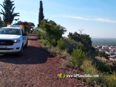 Fotografia /Galeria/2020/5/195575_121299/4_M1.jpg