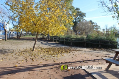 Fotografia /Galeria/2020/5/195590_121315/2_M1.jpg